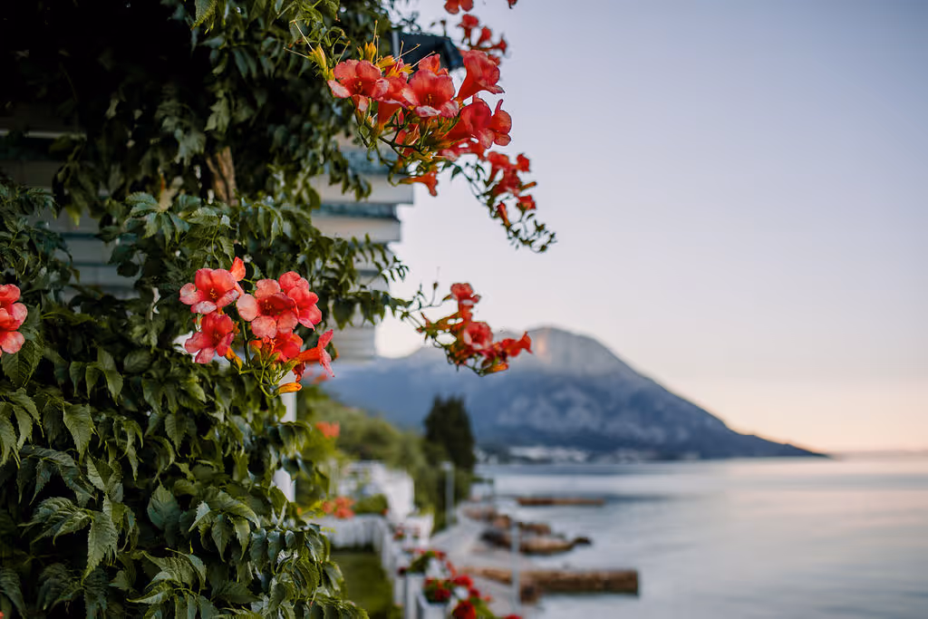 Ślub w Chorwacji. Zdjęcie nr. 31