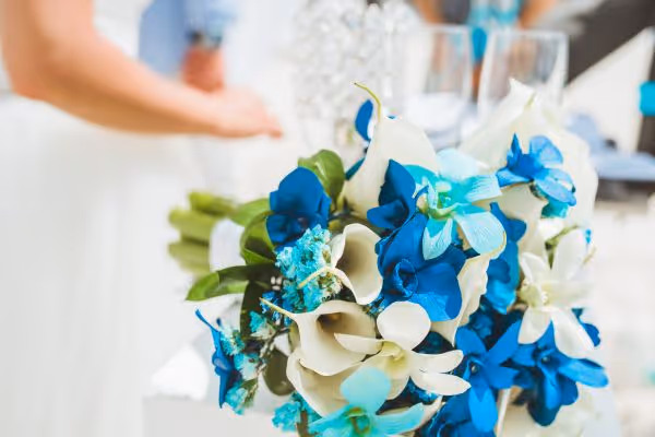 Ślub na Dominikanie Zdjęcie nr. 11