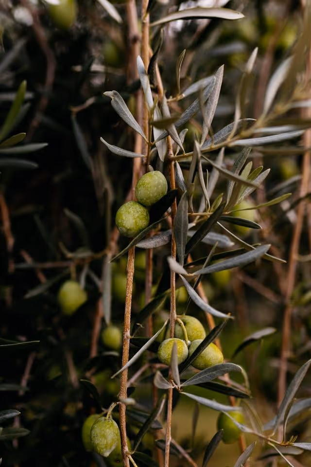 Ślub we Włoszech - Sycylia Zdjęcie nr. 22