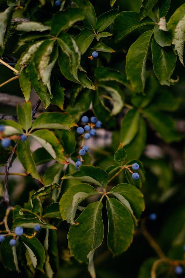 Ślub we Włoszech - Sycylia Zdjęcie nr. 9