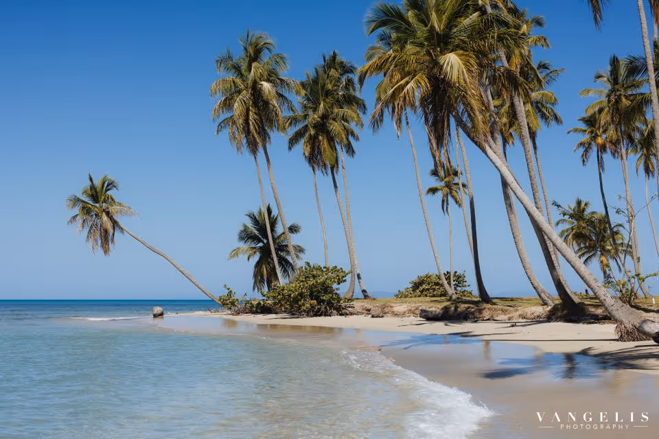 Ślub na Dominikanie Zdjęcie nr. 41