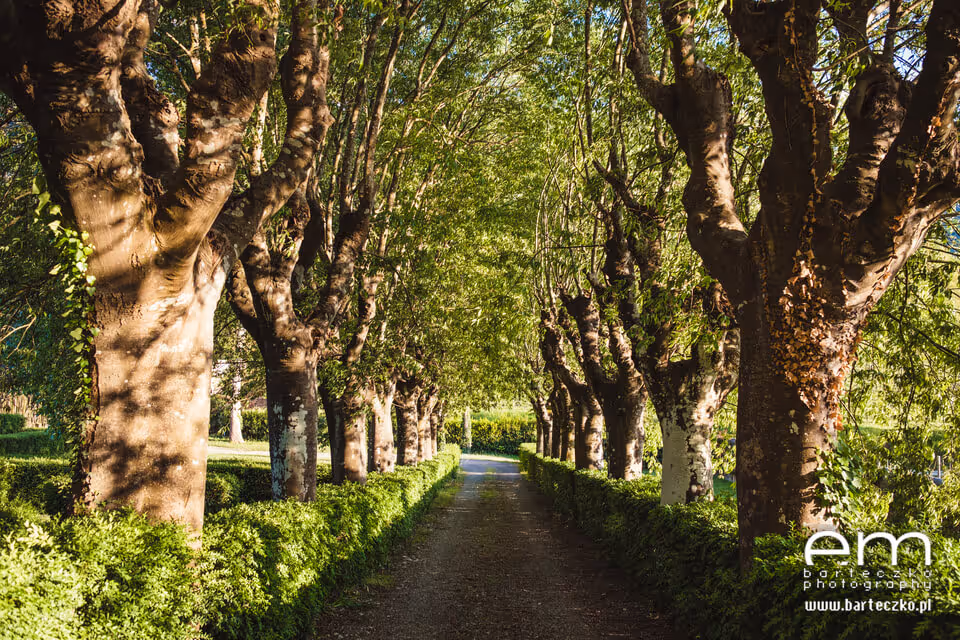 Ślub we Włoszech - Toskania. Zdjęcie nr. 4