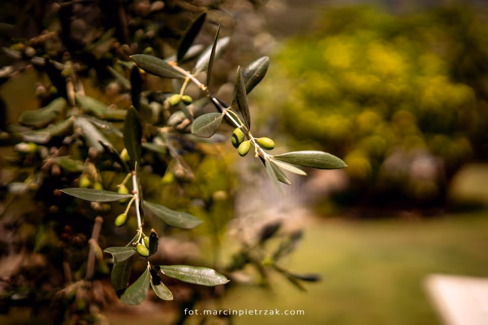 Ślub we Włoszech - Jezioro Garda. Zdjęcie nr. 2