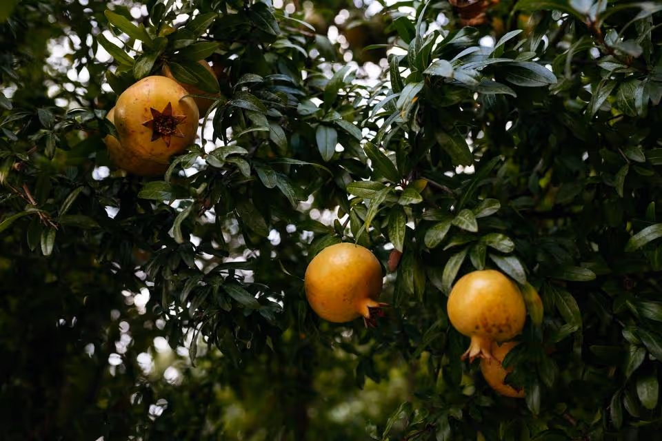 Ślub we Włoszech - Sycylia Zdjęcie nr. 19