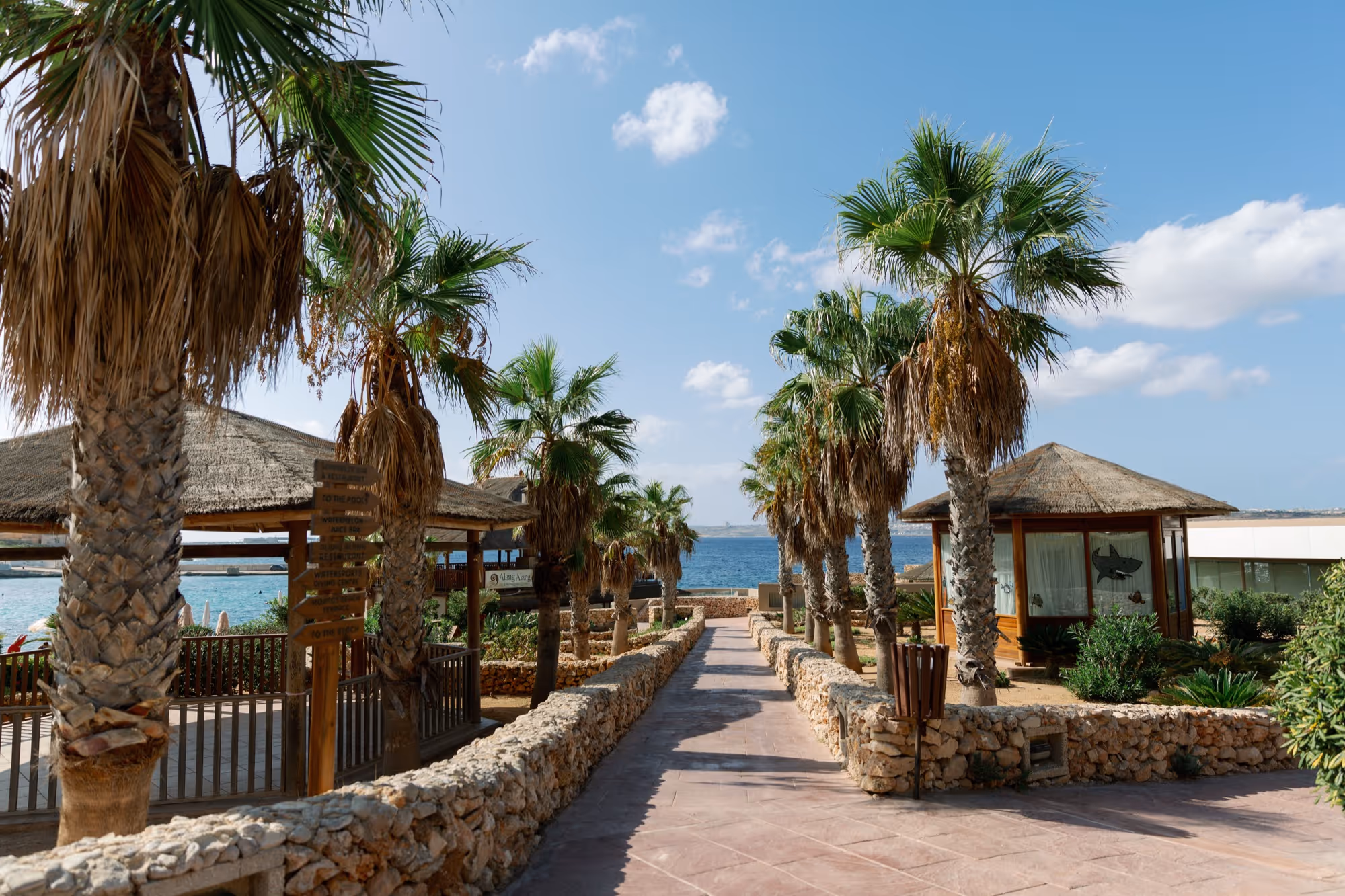 Ślub na Malcie. Malta - Wasze wymarzone miejsce ślubne. Zdjęcie 6