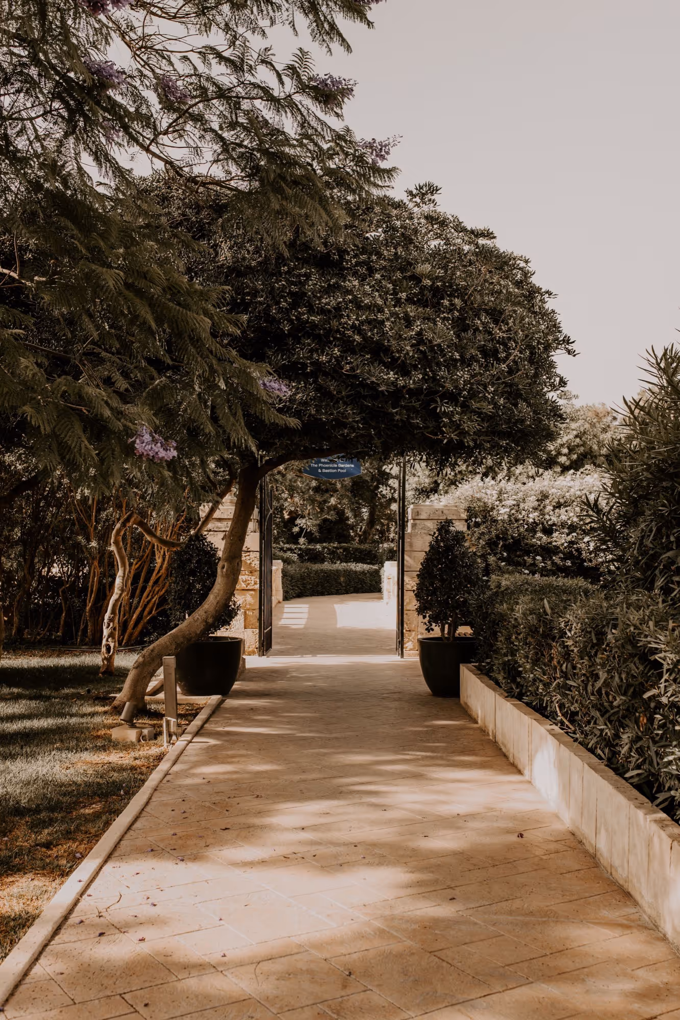Ślub na Malcie. Malta - Wasze wymarzone miejsce ślubne. Zdjęcie 36