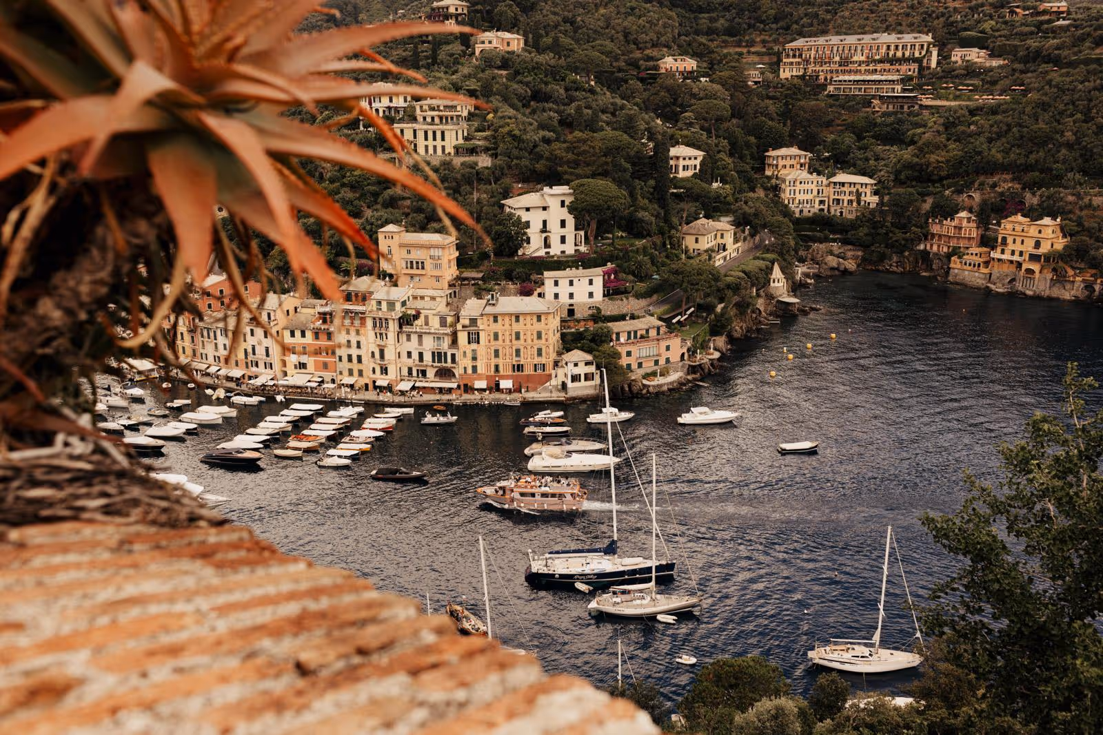 Ślub w Ligurii. Taras zamku w Portofino. Zdjęcie 1