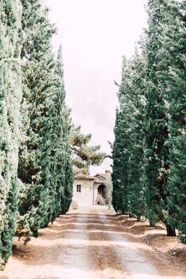 Ślub we Włoszech - Toskania. Zdjęcie nr. 12