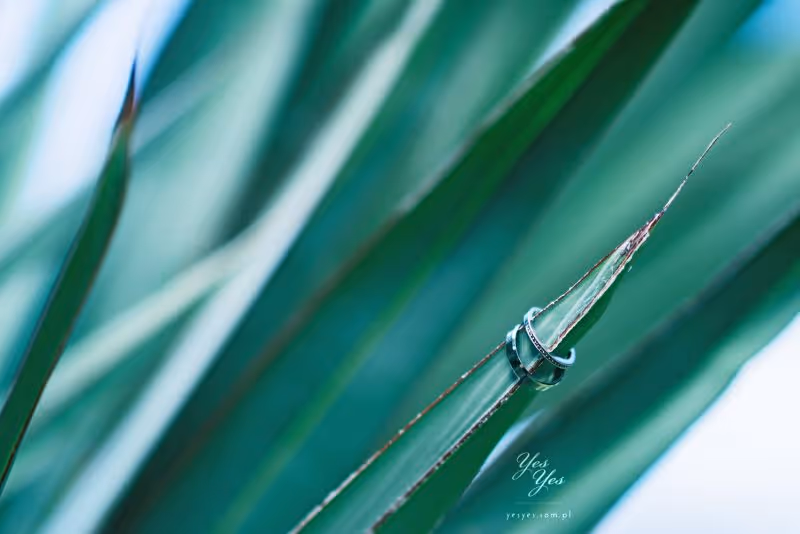 Ślub na Maruritius. Zdjęcie nr. 1