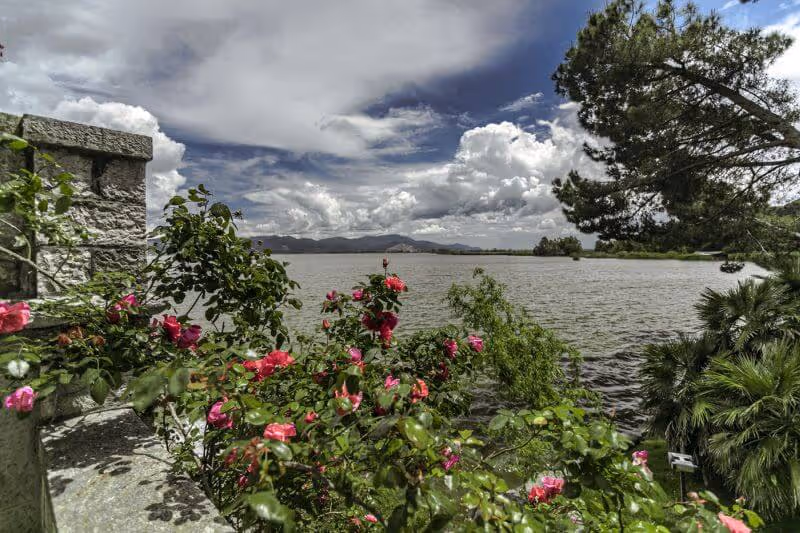 Ślub we Włoszech - Toskania. Zdjęcie nr. 20