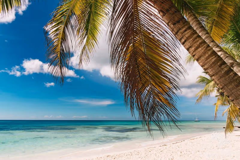 Ślub na Dominikanie. Zdjęcie nr. 1