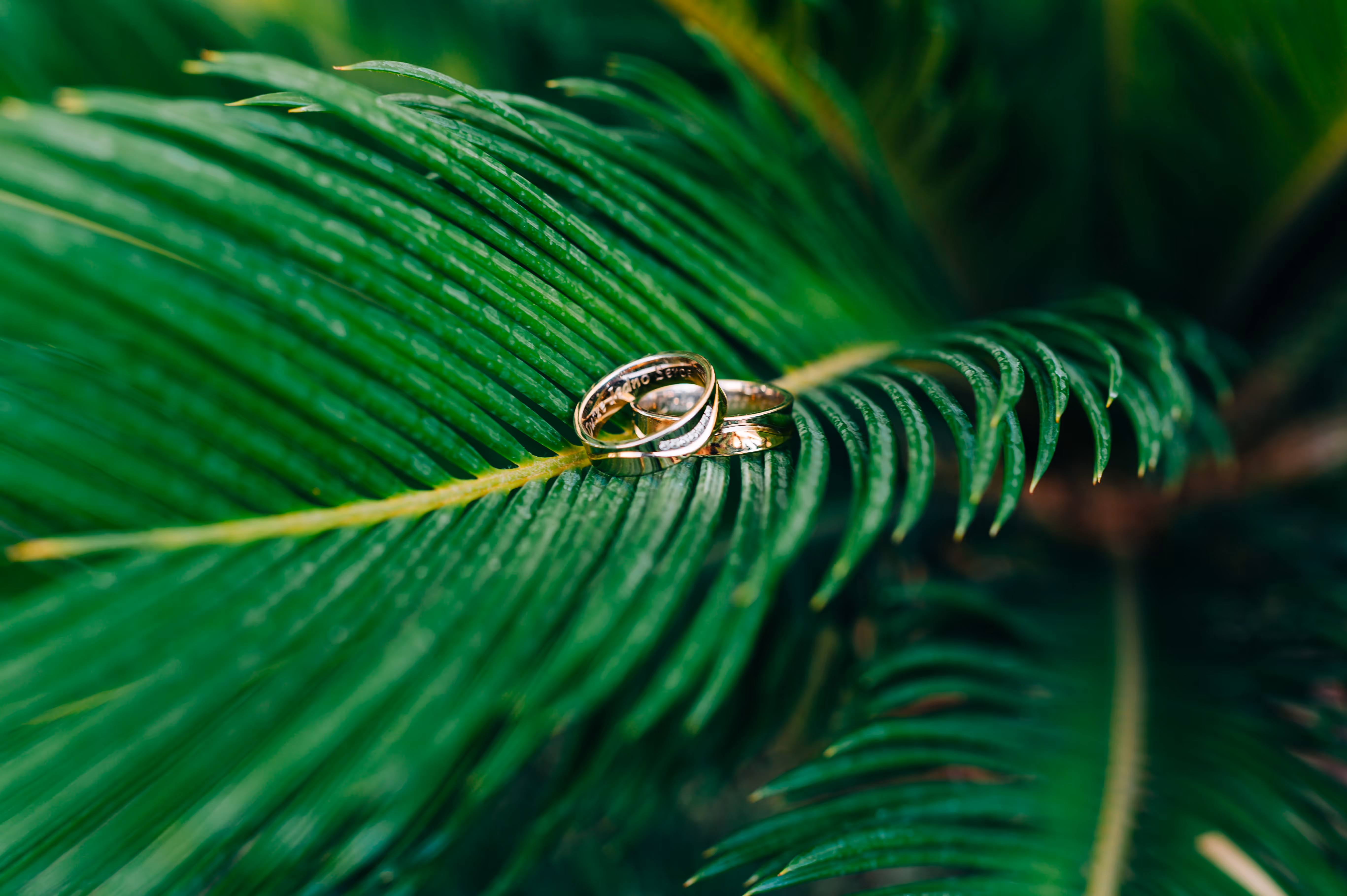 Saint Lucia Ślub w prawdziwym raju