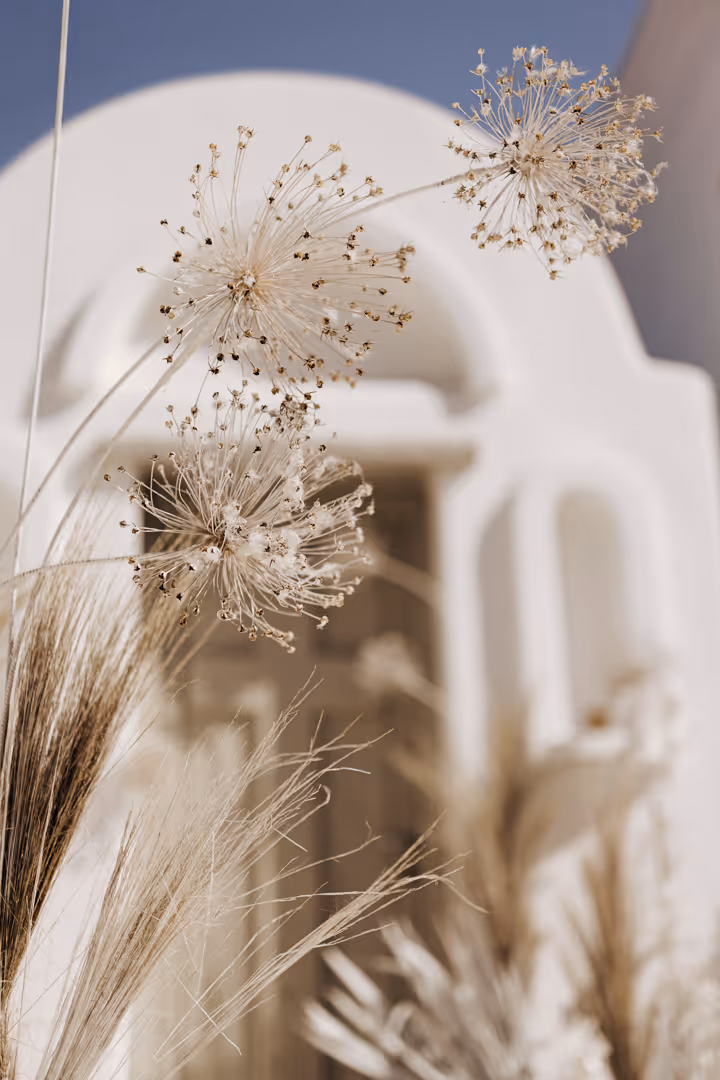 Ślub w Grecji - Mykonos Zdjęcie nr. 8