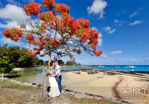 mauritius-slub-15 mauritius-slub-15