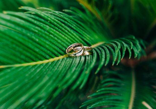 Kostaryka ślub cywilny egzotyczna roślinność