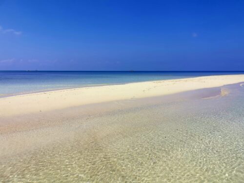 Ślub cywilny - Zanzibar 2 Ślub cywilny - Zanzibar 2