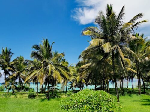 Ślub na Zanzibarze 3 Ślub na Zanzibarze 3